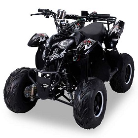 zf10.jpg